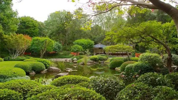 Counselling space in Brisbane